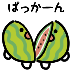 [LINEスタンプ] 夏だよ！スイカ（文字付き）