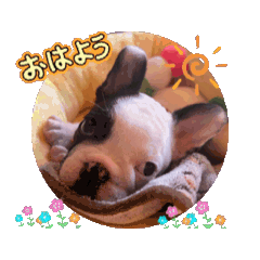 [LINEスタンプ] フレブルいちの日常