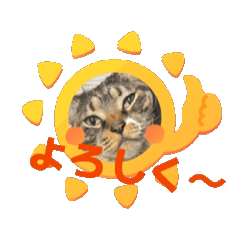[LINEスタンプ] にゃんこのゆるっとスタンプ