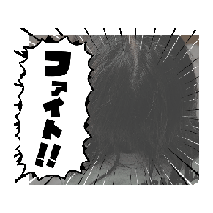 [LINEスタンプ] しろ目ちゃん
