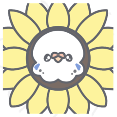 [LINEスタンプ] 夏だ！セキセイインコちゃん