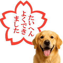 [LINEスタンプ] ゴールデンレトリバー☆よくできました！