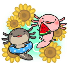 [LINEスタンプ] まいにちウーパーの夏！