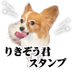 [LINEスタンプ] りきぞう君スタンプ