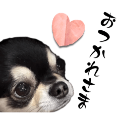 [LINEスタンプ] チクワのきもち12