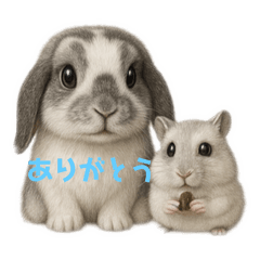 [LINEスタンプ] こゆ＆キュンのほんわか日常