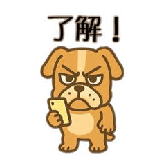 [LINEスタンプ] 可愛いフレブル日本語
