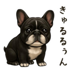 [LINEスタンプ] フレンチブルドッグ！！！