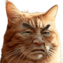 [LINEスタンプ] おじキャット
