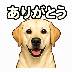 [LINEスタンプ] ラブラドール・レトリバー-イエロー2