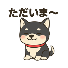 [LINEスタンプ] 黒柴ナナちゃんの日常