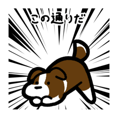 [LINEスタンプ] いつでも使えるボーダーコリー（茶白）