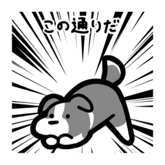 [LINEスタンプ] いつでも使えるボーダーコリー（灰白）