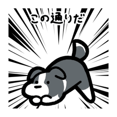 [LINEスタンプ] いつでも使えるボーダーコリー（青白）