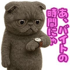 [LINEスタンプ] キモブサカワ7(スコ)