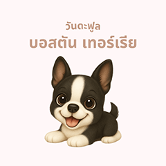 [LINEスタンプ] ワンだふる｜ボストンテリア【タイ語】