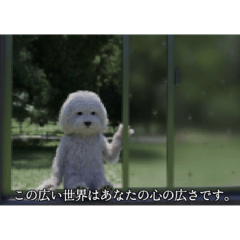 [LINEスタンプ] ْ いぬ