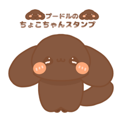 [LINEスタンプ] トイプードルのちょこちゃんスタンプ