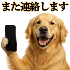 [LINEスタンプ] ゴールデンレトリバー☆必ず使う！敬語集