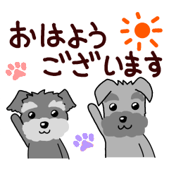 [LINEスタンプ] ずーっと使える シュナウザー♪
