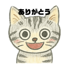 [LINEスタンプ] ネコの感情。