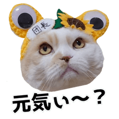 [LINEスタンプ] くぅ王子ちゃんスタンプ3