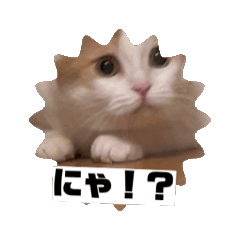 [LINEスタンプ] もんtheスタンプ