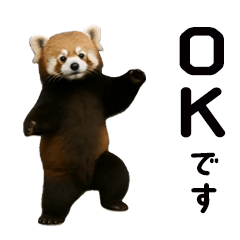 [LINEスタンプ] 動く！レッサーパンダ