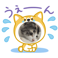 [LINEスタンプ] こねことスタンプ