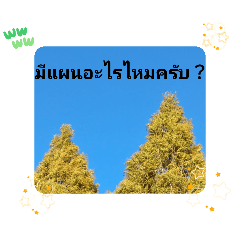 [LINEスタンプ] レッツトライ摩訶不思議日常挨拶バンコク