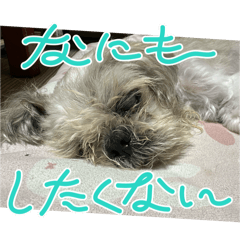 [LINEスタンプ] 色々な思い出スタンプ