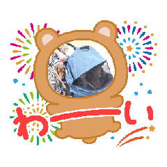 [LINEスタンプ] たからです。