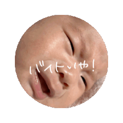 [LINEスタンプ] 坊にゃん