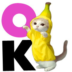 [LINEスタンプ] 動く！デカ文字にゃんこ