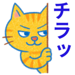 [LINEスタンプ] 目つきの悪いトラ猫の日常