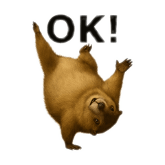 [LINEスタンプ] 日常で使えるマーモットちゃん