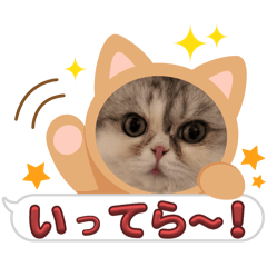 [LINEスタンプ] マイキャッ2