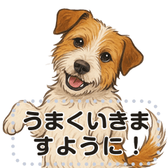 [LINEスタンプ] ジャックラッセル《メッセージスタンプ》