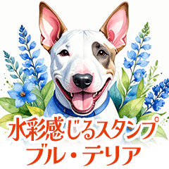 [LINEスタンプ] 水彩感じるブル・テリアスタンプ
