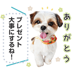 [LINEスタンプ] ルイチャン8