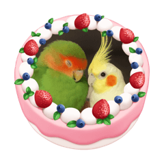 [LINEスタンプ] 僕のコザクラオカメ1