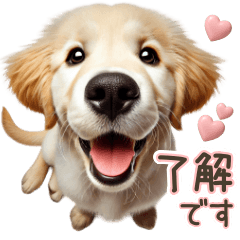 [LINEスタンプ] ゴールデンレトリバー子犬☆即返信ラブリー