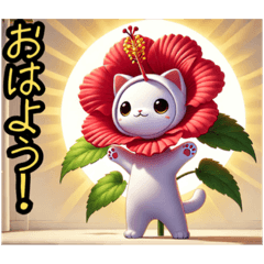 [LINEスタンプ] 【New❗️】ハイビにゃん‼️…………………