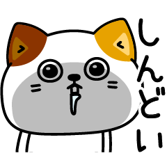 [LINEスタンプ] ねこ依存毎日使える挨拶