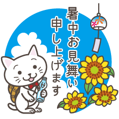 [LINEスタンプ] ねこたろ☆毎年使える夏スタンプ