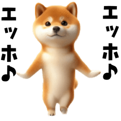 [LINEスタンプ] エッホエッホ柴犬