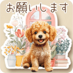 [LINEスタンプ] 癒しのかわいいトイプードル