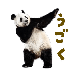 [LINEスタンプ] 動く！踊る！リアルなパンダミーム