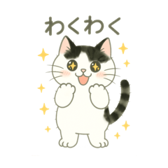 [LINEスタンプ] もち猫シダー君のスタンプ