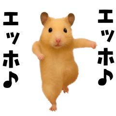 [LINEスタンプ] エッホエッホキンクマハムスター